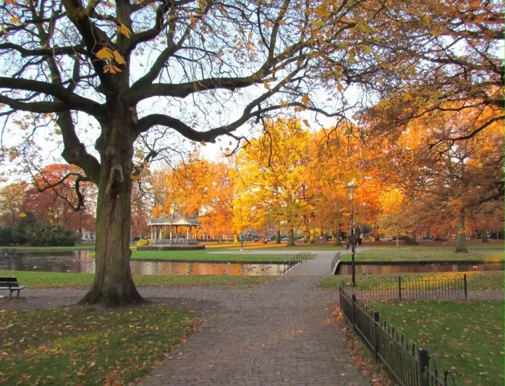 Oranjepark in Apeldoorn met muziektent en herfstbomen